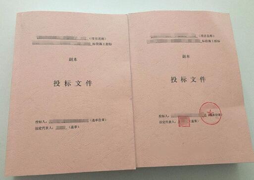 招投标书翻译文件图片 招投标书翻译文件图片