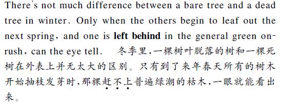 中英文翻译内容图片 中英文翻译内容图片